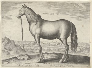 Kůň z Thesálie (Thessalus) Thesalvs (název na objektu) Plemena koní z královské stáje Dona Juana z Rakouska (název seriálu) Equile Ioannis Austriaci Caroli (název série)