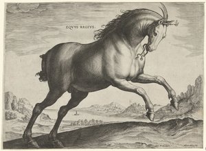 Kůň plemene Equus Regius (královský) Eqvvs Regivs (název na objektu) Plemena koní z královské stáje Dona Juana z Rakouska (název seriálu) Equile Ioannis Austriaci Caroli (název série)