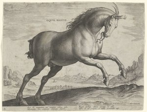 Kůň plemene Equus Regius (královský) Eqvvs Regivs (název na objektu) Plemena koní z královské stáje Dona Juana z Rakouska (název seriálu) Equile Ioannis Austriaci Caroli (název série) od Hieronymus Wierix