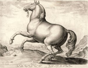 Gallicus ze série Koně ze stáje rakouského Dona Juana (rytina na tkanině)