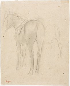 Studie koně od Hilaire Germain Edgar Degas