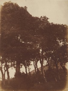 [Pole u Bonaly] od Hill and Adamson