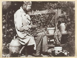 Bayard Jardinier od Hippolyte Bayard