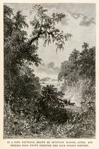 Aouda a Phileas Fogg ve skvělé výstroji, tažené skvělými koňmi, projížděli bohatou lesní scenérií, z knihy Cesta kolem světa za osmdesát dní od Julese Verna (1828-1905), vyryté Henri-Théophilem