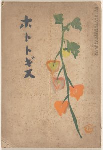 září 1913 Hototogisu (název na objektu) od Hirafuku Hyakusui