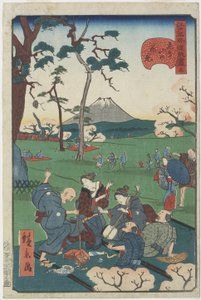 No.5, Cherry-Blossom Viewing at Asuka Hill