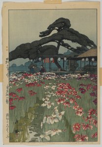 Iris Garden v Horikiri, ze série, Dvanáct scén Tokia, éra Showa od Hiroshi Yoshida