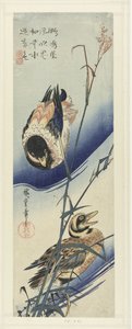 Kachny poblíž rákosí od Hiroshige (I) , Utagawa