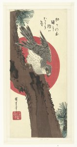Jestřáb na borovici od Hiroshige (I) , Utagawa