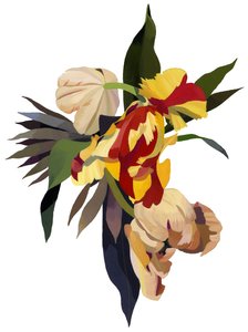 Papoušek tulipán 3 od Hiroyuki Izutsu