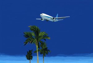 Letadlo a palma