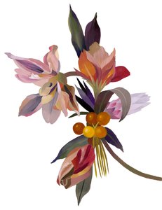 Imaginární květina založená na tulipánu. od Hiroyuki Izutsu