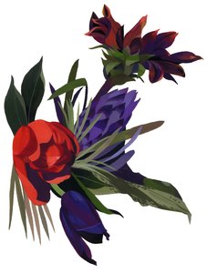 Tulipány a jiřiny.