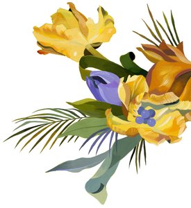 Žlutý tulipán