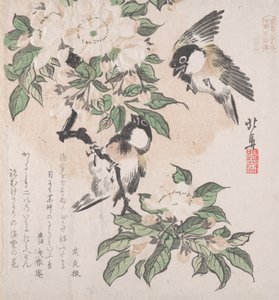 Spring Rain Collection Harusame shu, sv. 3: Sýkorky bahenní a květy krabího jablka, ca. ..., ca. 1820.