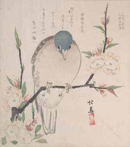 Spring Rain Collection Harusame shu, sv. 3: Mountain Dove and Peach Flowers, ca. 1820, ca. 1820.