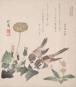 Spring Rain Collection Harusame shu, sv. 3: Vrabci a pampelišky, ca. 1820, ca. 1820.