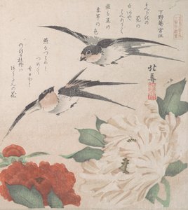 Spring Rain Collection Harusame shu, sv. 3: Vlaštovky a pivoňky, ca. 1820, ca. 1820.