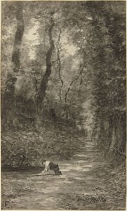 Lesní scéna s prádelnicí od Homer Dodge Martin