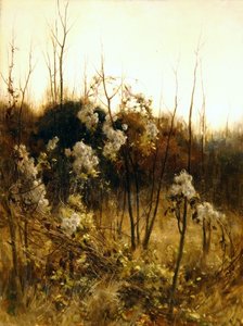 Radost cestovatelů od Hon. Walter John James