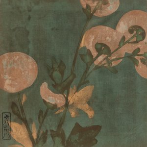 Chrysanthemums, Edo period, late 16th-early 17th century.     1199857   cs       czech Successfully Translated  Original: Ontwerp voor een politieke spotprent: twee heren bedekken een staande naakte vrouw met vijgebladeren Translat: Ontwerp voor een politi