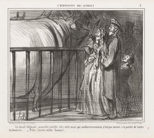 Expozice zvířat : Pl. 5, The Cow-Elephant, New Variety.... od Honoré Daumier
