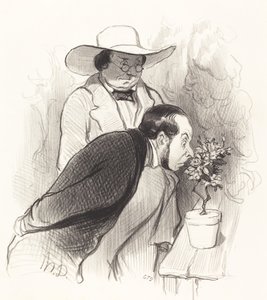 Triumf botanika od Honoré Daumier