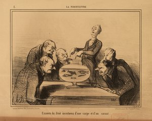 Rybářství č. 1: Zkoumání incestního plodu kapra a učence. od Honoré Daumier