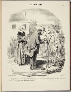 Můj roub třešně na meruňce se neujal... od Honoré Daumier