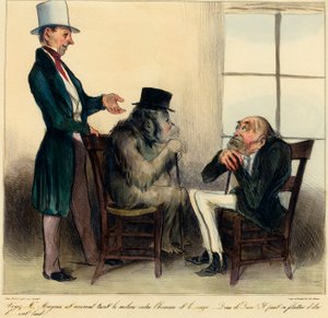 Viz pane Mayeux, tohle zvíře drží střední cestu mezi člověkem a opicí - proboha! Dokáže si lichotit, že je ošklivý!" Karikatura zobrazující podobnosti mezi orangutanem a mužem - kresba Honore Daumier (1808 - 1879) z "Charivari" od Honoré Daumier