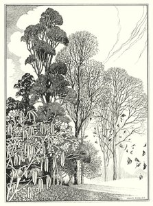 Měsíce (litografie) od Horace J. Knowles