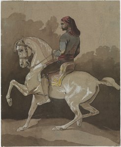 Arab na koni, kolem roku 1800 (pero, tuš, akvarel a kvaš)