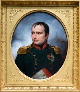 Portrét císaře Napoleona I