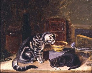 Dvě kočky od Horatio Henry Couldery