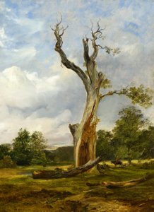 The Blasted Tree, kolem roku 1838 (olej na plátně)
