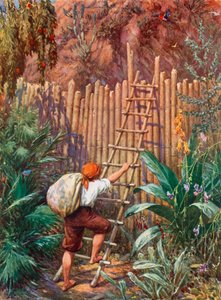 Ilustrace pro Robinsona Crusoe od Howard Davie