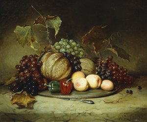 Bohaté zátiší, 1855 od Hugh Newell