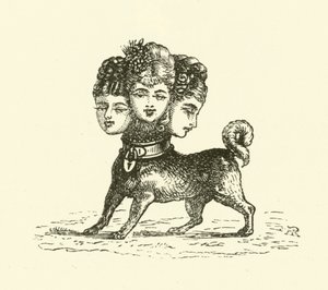 Žena Cerberus (rytina)