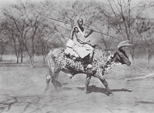 Afrika: Aulad Hamid (čb foto) od Hugo Adolf Bernatzik