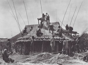Afrika: Stavba odpočinkového domu u Amadi (čb foto) od Hugo Adolf Bernatzik