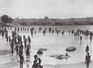 Afrika: Morus staví most u Amadi (čb foto) od Hugo Adolf Bernatzik