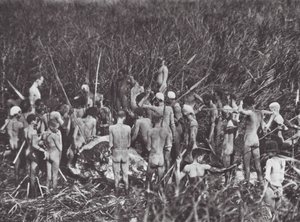 Afrika: Nuerští lovci s tělem slona (čb fotografie) od Hugo Adolf Bernatzik