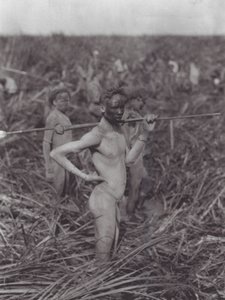 Afrika: Nuerští bojovníci v bažině (čb fotografie)