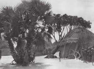 Afrika: Vesnice Šilluků na Bílém Nilu (čb fotografie) od Hugo Adolf Bernatzik