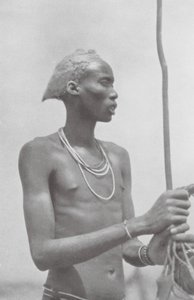 Dinka-Neger (čb fotografie) od Hugo Adolf Bernatzik