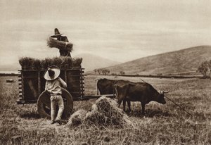 Mexiko: Zemědělci sklízejí pšenici (čb fotografie) od Hugo Brehme