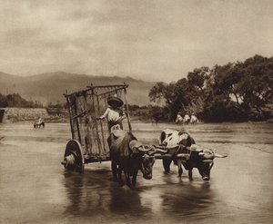 Mexiko: Volský povoz s koly ve tvaru disků (čb fotografie) od Hugo Brehme
