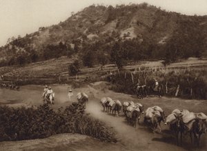Mexiko: Dopravní uzel ve vnitrozemí země (čb fotografie) od Hugo Brehme