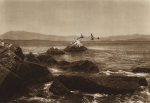 Mexiko: pobřeží Manzanillo, Pelicanos, stát Colima (čb fotografie) od Hugo Brehme