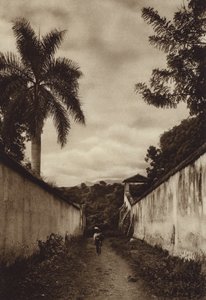 Mexiko: Cuernavaca, ulice vedoucí do vesnice San Antonio (čb fotografie) od Hugo Brehme